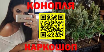 гашик Краснознаменск