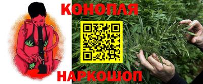 гашик Краснознаменск