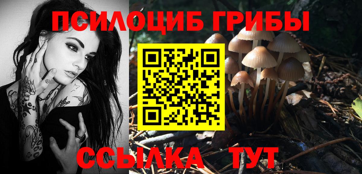 Галлюциногенные грибы Magic Shrooms Краснознаменск