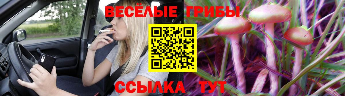 Краснознаменск  Псилоцибиновые грибы ЛСД  Вход с VPN 
